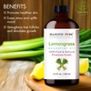 MAJESTIC PURE Lemongrass Essential Oil with Glass Dropper | 100%