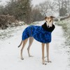ARVOV Comfortable Greyhound, Greyhound, Greyhound, Whippet Greyhound, Winter Warm Fleece
