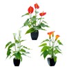 Artificial Flower Living Room Decorative Flowers Plastic Flowers Simulation Potted