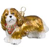 Joy To The World Blenheim Cavalier King Charles Spaniel with