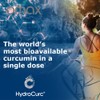 Omax HydroCurc Turmeric Curcumin Softgels, Highly Bioavailable, Nanoparticle Potency &