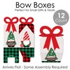 Big Dot of Happiness Red and Green Holiday Gnomes -