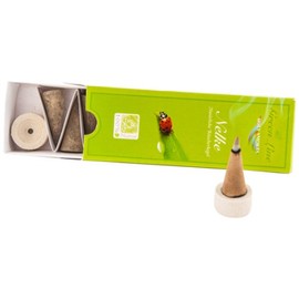 Berk HS-984 Incense Cones Carnation Green Line 16 g