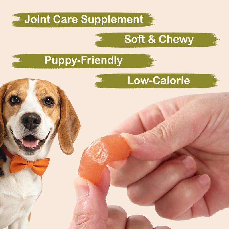 Furmate Dog Treats, Soft Chicken Sausage Jerky for Dogs, Real