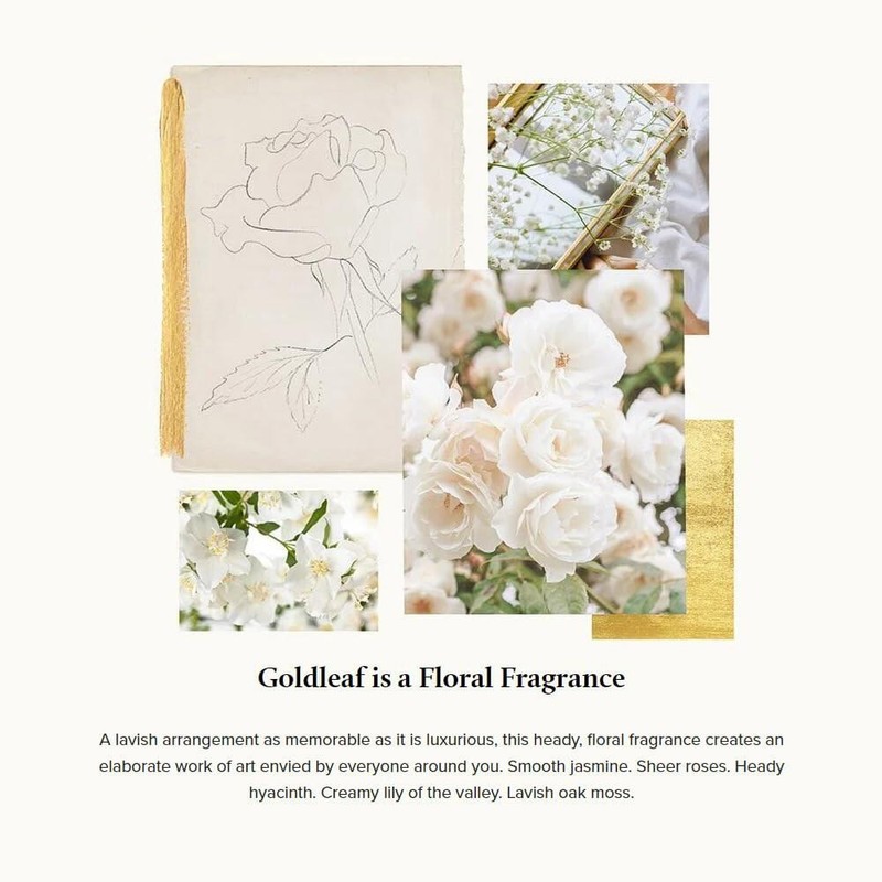 Times 타임스 버블 배스 - 11.5온스 골드 [Goldleaf Gardenia] Times