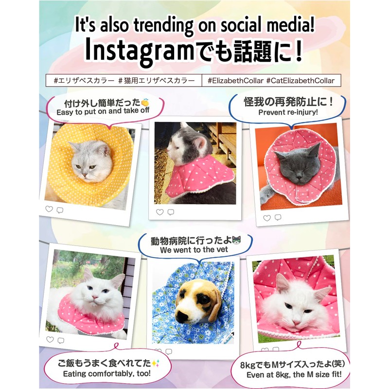 エリザベスカラー 猫 犬 ソフト ［愛玩動物飼養管理士が監修］ サイズ調節可能 介護 防水 布製 傷舐め防止