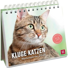 Wochenkalender 2026: Kluge Katzen: Katzenkalender zum Aufstellen mit Wochenkalendarium, Tischkalender für Katzenfreunde