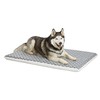 MidWest Homes for Pets Quiet Time Teflon Defender Dog Beds;