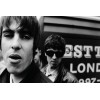 Oasis, Black and white, Up close, Noel and Liam Gallagher Poster 24x36
