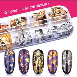 Nail Art Kit, Nail Design Tools Kit with Nail Art Brushes, Nail Dotting Tools,Fine Glitter,Nail Butterfly, Nail Heart Glitter Sequins, Nail Foil Flakes, Nail Art Rhinestones, Nail Dust Brush (black)