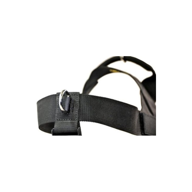 Dean & Tyler DT Universal No Pull Dog Harness -