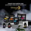 BIOSUPL Protena Vegetal adicionada con Colgeno Hidrolizado,Magnesio y Vitaminas, Sabor