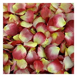 Flyboy Naturals Sale Rose Petals Tuscan Sun Preserved Freeze-Dried Red & Yellow Rose Petals 30 Cups Real Petals