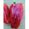 Frontier Seed Co USA EMERALD GIANT pepper seeds NON-GMO GIANT