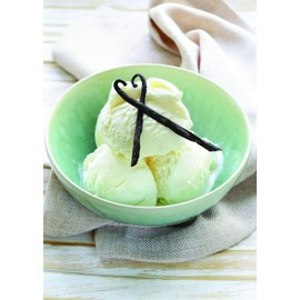 Root Candles 1517 Candle Votive French Van 20Hr, 18-Pack, Multicolor, 18 Count