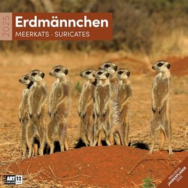 Erdmännchen 2025, Wandkalender / Broschürenkalender im Hochformat (aufgeklappt 30x60 cm) - Art12 - Geschenk-Kalender mit Monatskalendarium zum Eintragen