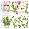 Tender Epoch Dried Pressed Flowers for Crafts Resin,4 Sheets Real