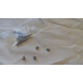 Campagnolo 2 pair NOS Campagnolo C Record Delta Brake pad toe in screws Vintage Bike