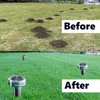 Gopher Repellent Ultrasonic Solar Powered - Mole Repellent Stakes Outdoor