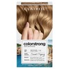 Clairol ColorStrong Permanent Zero Ammonia Hair Dye, 7.0 Dark Blonde