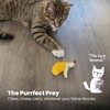 Catstages Petstages Dental Banana Catnip Cat Chew Toy