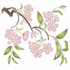 Cherry Blossom Stencil 6.5 x 6 Inch (S) - Japanese