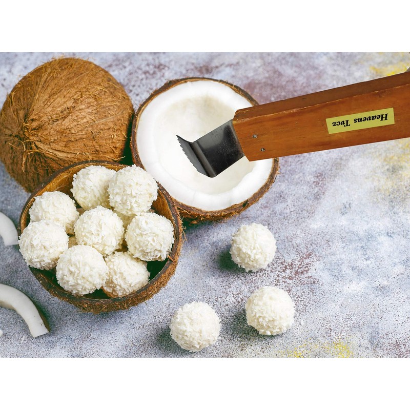 Coconut Grater Scraper Shredder Machine Papaya Fruit Black Grass Jelly