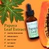 Best Botanicals Papaya Leaf Extract 1 oz.