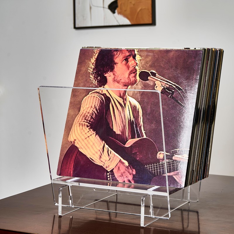 Honygebia Acrylic Vinyl Record Holder, Storing Collection of 40 Premium