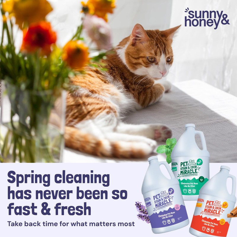Sunny & Honey Carpet Cleaner & Odor Remover Spray -