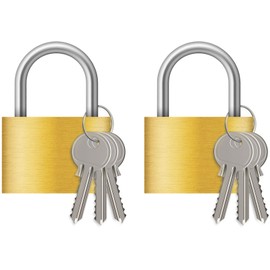 Diyife Brass Padlock 40 mm, Pack of 2, 6 Keys, Waterproof Locks for Tool Boxes, Suitcases, Cupboards, Lockers, Warehouses, Garage, Garden - Smooth Unlocking