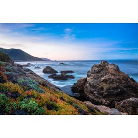 Seascape Photography Print (Not Framed) Picture of Colorful Succulents at Sunrise Along Pacific Coast near Big Sur California Coastal Wall Art Beach House Decor (11" x 14")