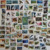 100 Different Animals on Stamps Collection (Stamps for Collectors)
