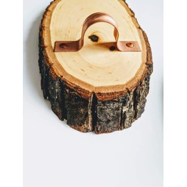 Small Live Edge Wood Slice Air Plant Hanging Holder