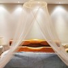 Mosquito Net Dome Polyester Princess Bed Canopy Mosquito Net Bed