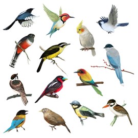 DERJDISF Window Stickers - Window Stickers for Birds - Versatile Anti-Collision Animal Stickers - Perfect for Window, Living Room, Office, & Nursery Wall Art Decor
