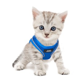 TwoEar Cat Harness Escape Proof, Soft Dog Vest Harness Adjustable, Breathable Mesh Step-in Puppy Walking Jacket Reflective Easy Control for Extral Small Pets for Outdoor Walking(XXXS, Blue)