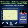 L-teanina 200mg con azafrán, GABA, glicinato de magnesio y VIT.B6
