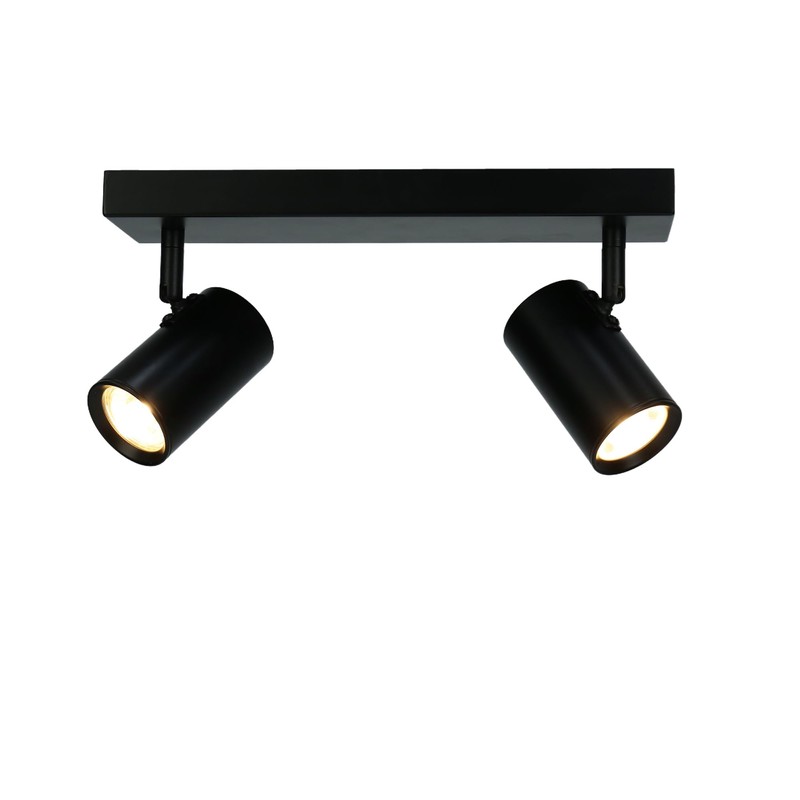 Lexi Lighting Brianna Spot Light, Flush-Mount Rectangular Ceiling Light, 2