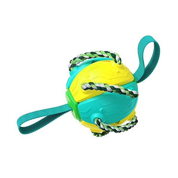 Outdoor Training Toy Balls Interactive Dog Toys Dog Frisbee Rebound