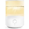 homasy 2in1 Humidifiers for Bedroom 2.5L Cool Mist Humidifier &Diffuser