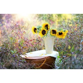 Serendipity Seeds 100 Seeds- Black Oil Sunflower-Brig