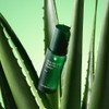 Nature Republic Real Squeeze Aloe Vera Essence 50ml / 네이처리퍼블릭