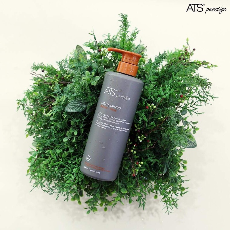 ATS Perstige Bresh Shampoo - 600ML, Oily Scalp and Soothing