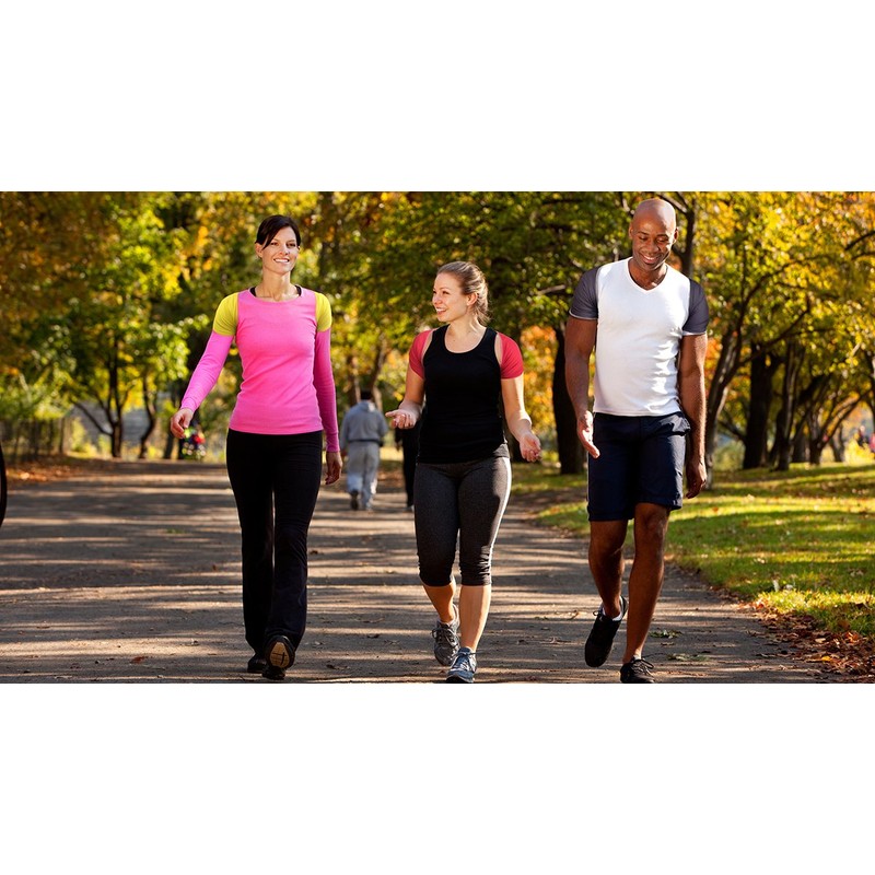 Str8-n-Up Posture Support Large