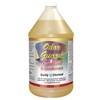 Odor Guard Trash Chute Cleaner & Deodorant-1 gallon (128 oz.)