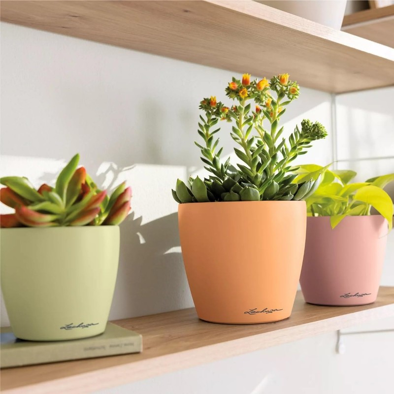LECHUZA Classico Color 14 Deco Papaya Table Pot Matte Surface