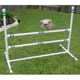 Weave-Poles Dog Agility Single Double Bar Jump