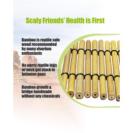 Helidrago Reptile Tank Accessories Hammock, Reptile Climbing Bridge, Lizard Lounger Bamboo Ladder, Bearded Dragon Accessories for Habitat, 24 in