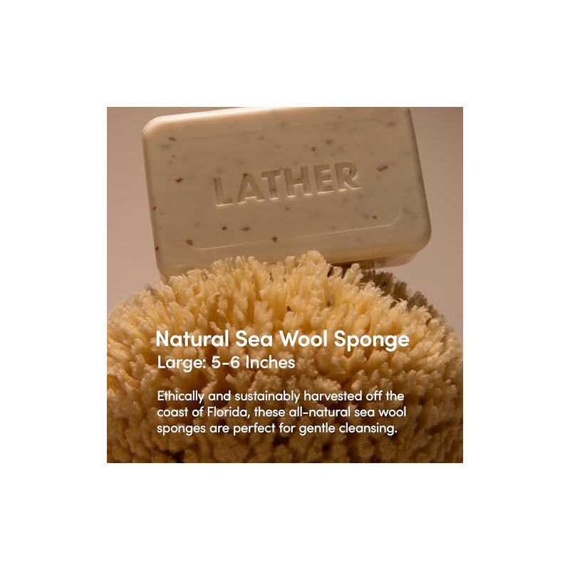 LATHER Natural Sea Wool Sponge